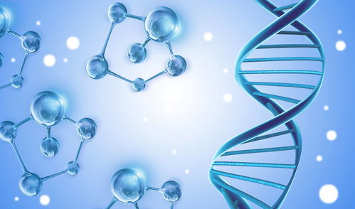 2021年CDMO服務與左旋肉堿產品市場分析及生物技術開發趨勢